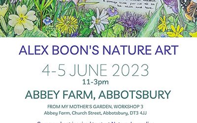 Alex Boon’s Nature Art – Abbey Farm, Abbotsbury